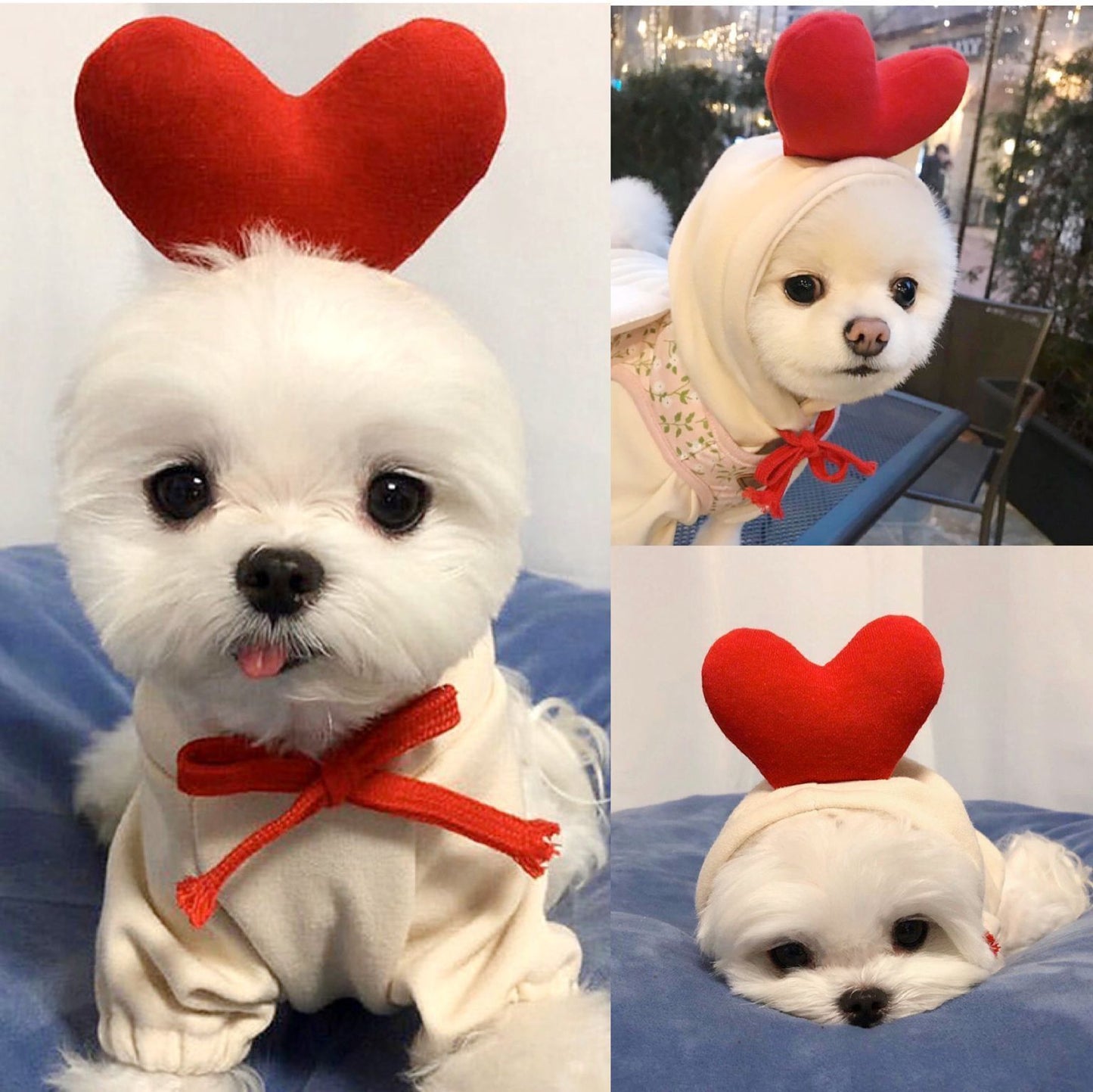 Cute Fruit Dog Clothes – Winter Fleece Hoodie for Small Dogs & Cats