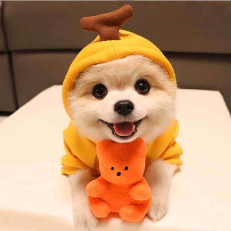 Cute Fruit Dog Clothes – Winter Fleece Hoodie for Small Dogs & Cats