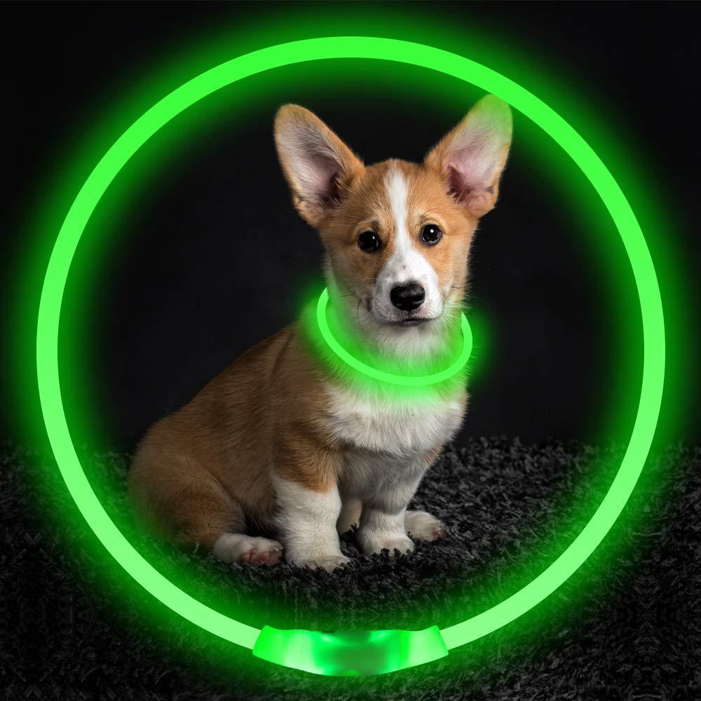 USB Rechargeable LED Pet Collar – Light Up Safety Necklace for Night Walking Dogs & Cats