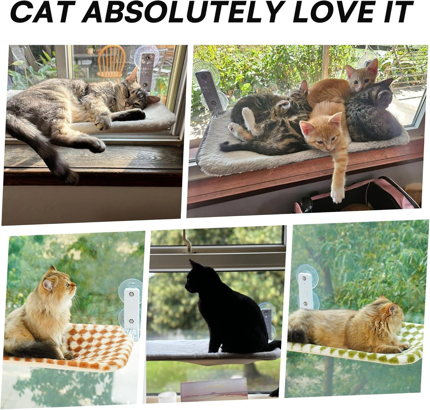 MEWOOFUN Cat Window Hammock – Steel Frame Perch with Strong Suction Cups, Brown, Medium