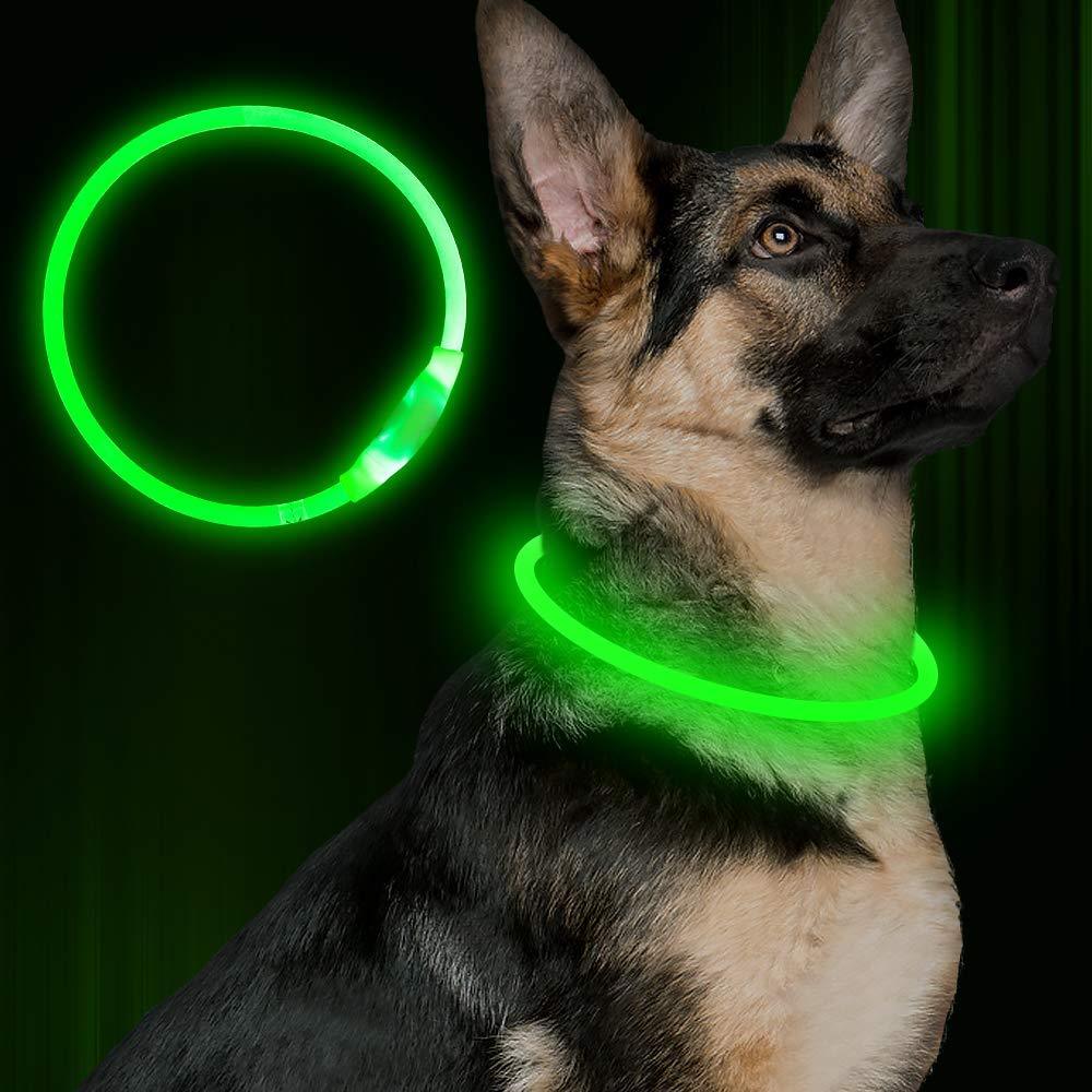 USB Rechargeable LED Pet Collar – Light Up Safety Necklace for Night Walking Dogs & Cats
