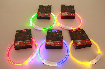 USB Rechargeable LED Pet Collar – Light Up Safety Necklace for Night Walking Dogs & Cats