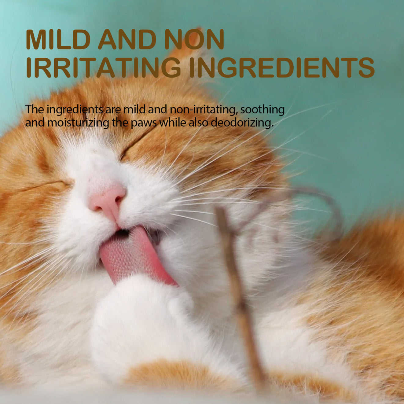 Yegbong Pet Avocado Foot Balm – Moisturizing Paw Care for Cats & Dogs
