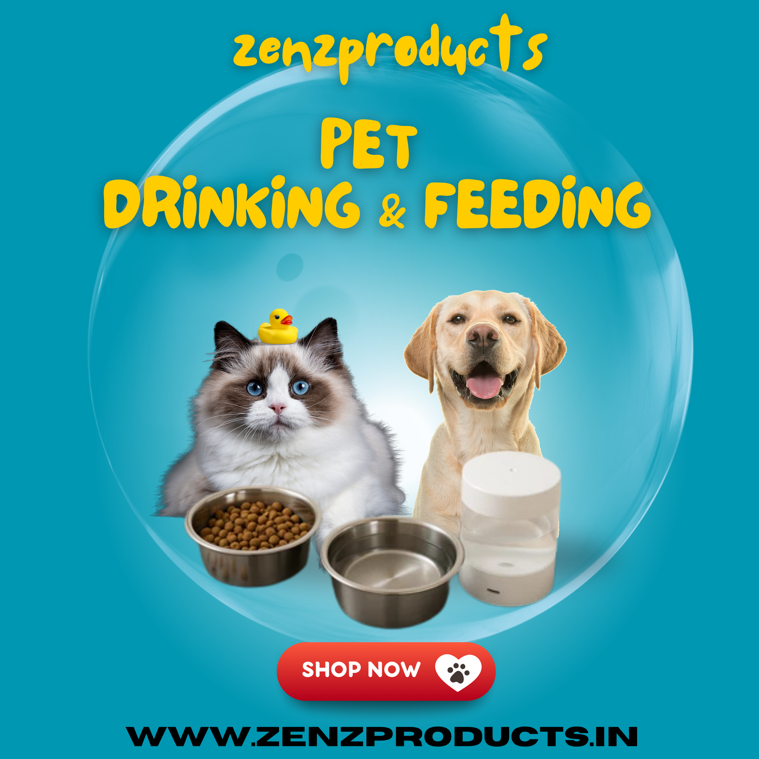 Pet Drinking & Feeding