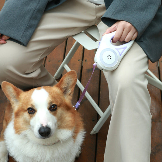 Retractable Dog Leash with Spotlight & Adjustable Collar | Auto Traction Rope for Small & Medium Dogs