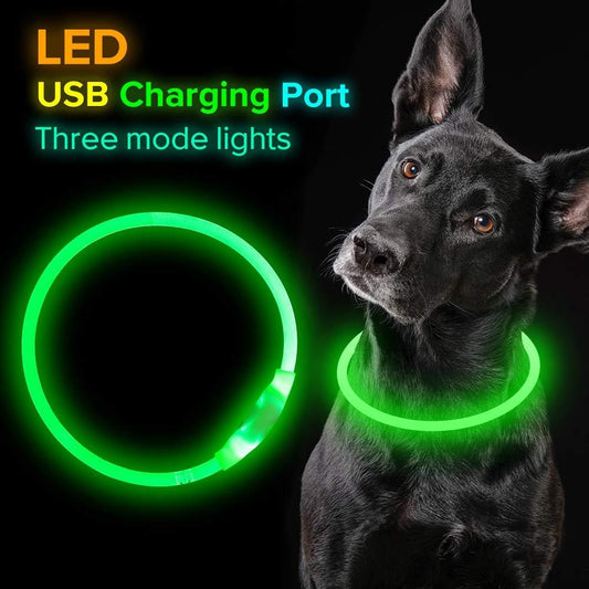 USB Rechargeable LED Pet Collar – Light Up Safety Necklace for Night Walking Dogs & Cats